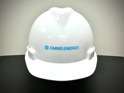 Short-term future of Pleasants Power secured while bankruptcy case continues forward